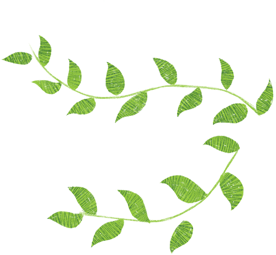 leaves